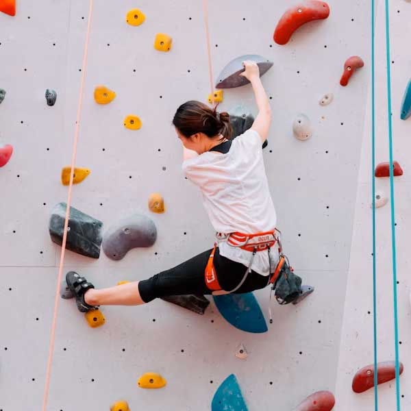 Feature illustration